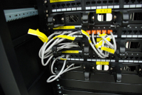 IT/Computer Services
